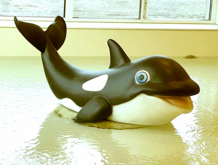 Orca